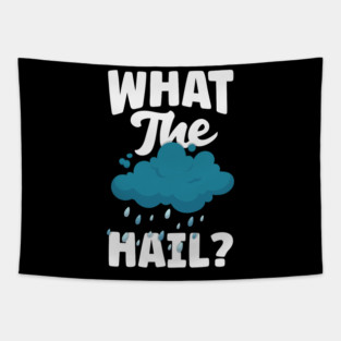 S52 Meteorology Meteorologist Meteorological Weather Forecast Forecasting (60) Tapestry