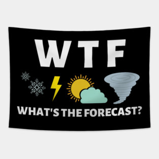 S52 Meteorology Meteorologist Meteorological Weather Forecast Forecasting (61) Tapestry