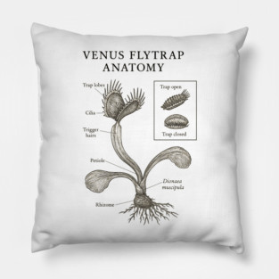Venus Flytrap Anatomy Pillow