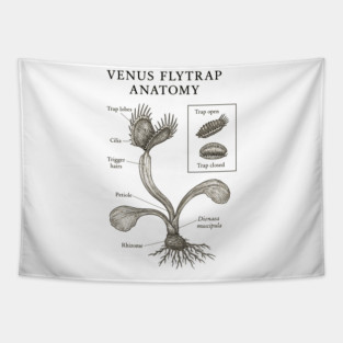 Venus Flytrap Anatomy Tapestry