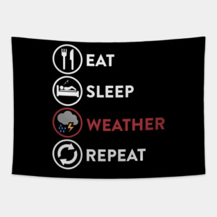 S52 Meteorology Meteorologist Meteorological Weather Forecast Forecasting (69) Tapestry