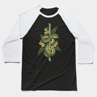 Bamboo Pit Viper Jungle Blossoms Vintage Art Baseball T-Shirt