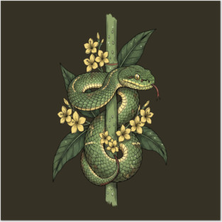 Bamboo Pit Viper Jungle Blossoms Vintage Art Posters and Art