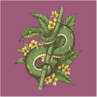 Bamboo Pit Viper Tropical Flowers Vintage Art Posters and Art