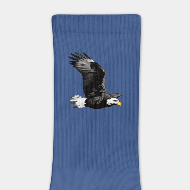 Flying Bald Eagle by DonWillisJrArt