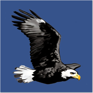 Flying Bald Eagle Posters and Art