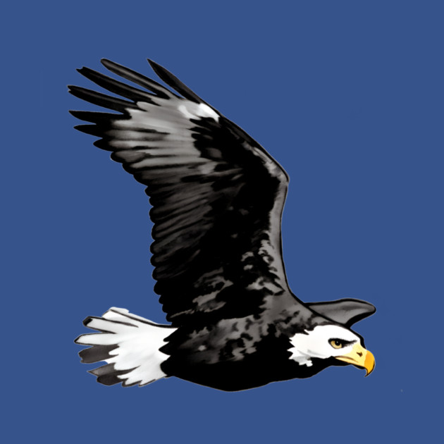 Flying Bald Eagle by DonWillisJrArt