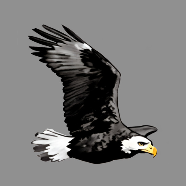 Flying Bald Eagle by DonWillisJrArt