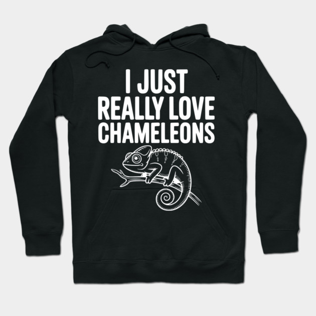 I Just Love Chameleons Hoodie by Frank Ring