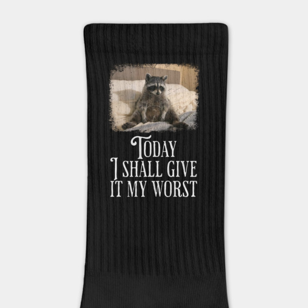 Dejected Raccoon: Today I Shall Give It My Worst, funny by Luxinda