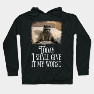 Dejected Raccoon: Today I Shall Give It My Worst, funny Hoodie
