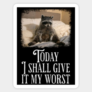 Dejected Raccoon: Today I Shall Give It My Worst, funny Magnet