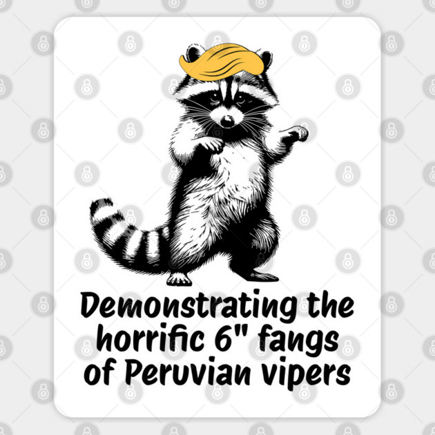 Raccoon mimicking trump's description of the 6" Peru Viper's fangs Sticker by Luxinda