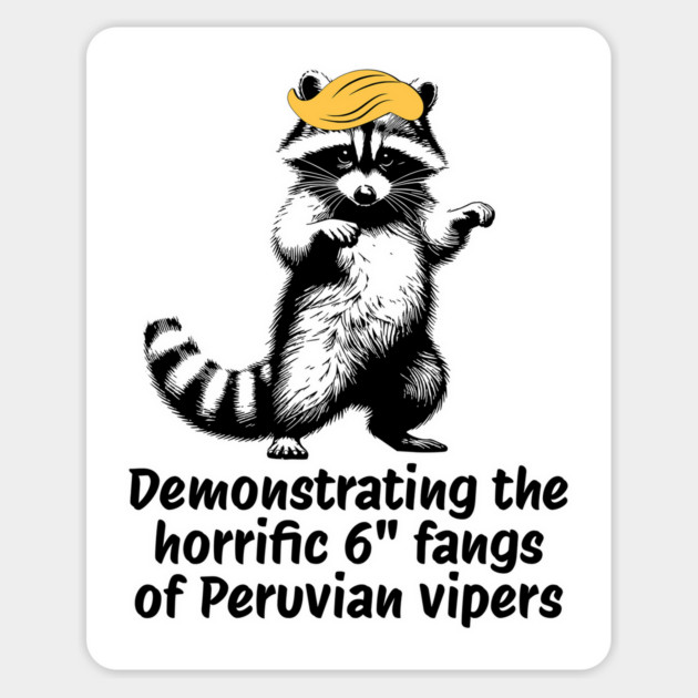Raccoon mimicking trump's description of the 6" Peru Viper's fangs Magnet by Luxinda