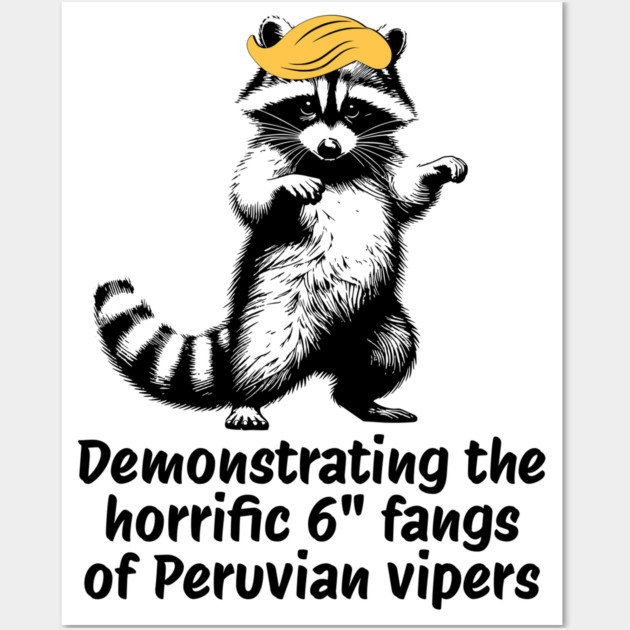 Raccoon mimicking trump's description of the 6" Peru Viper's fangs Wall Art by Luxinda