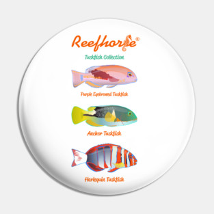 Tuskfish Collection Pin