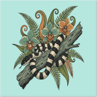 Banded Krait Orchids Fiddlehead Ferns Vintage Art Posters and Art
