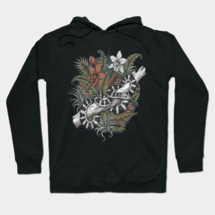 Malayan Krait Snake Vintage Illustration Hoodie