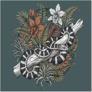 Malayan Krait Snake Vintage Illustration Posters and Art