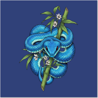 Blue Pit Viper Bamboo Vintage Illustration Posters and Art