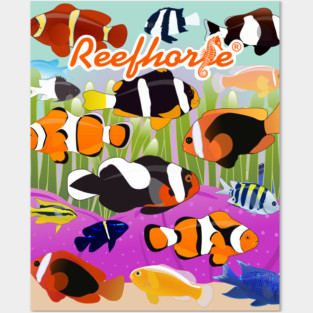 Clownfish Collection Posters and Art