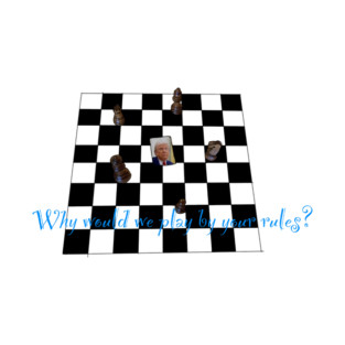 Why Would We Play By Your Rules? T-Shirt