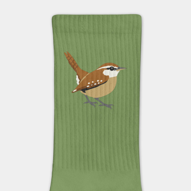 Carolina Wren Songbird Art by DonWillisJrArt