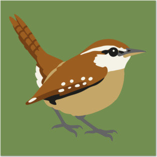 Carolina Wren Songbird Art Posters and Art