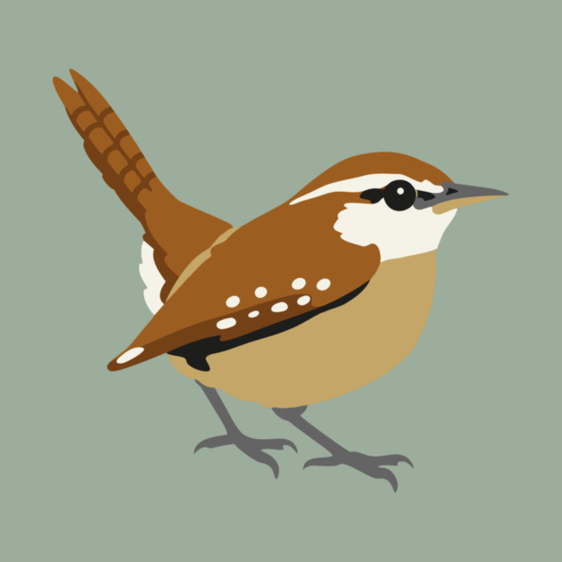 Carolina Wren Songbird Art by DonWillisJrArt