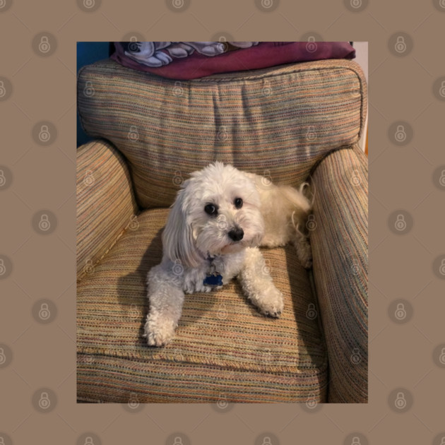 maggie by majanation