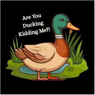 Are You Ducking Kidding Me – Funny Duck Graphic Posters and Art