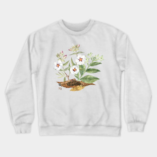 Rockrose and Tobacco Watercolor Illustration Crewneck Sweatshirt