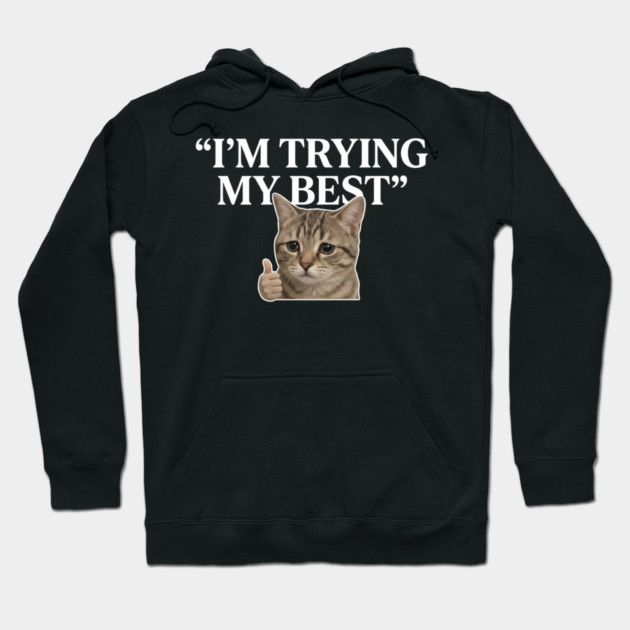 I'm Trying My Best Cat Meme Humor Hoodie by ArtistTee ⭐⭐⭐⭐⭐