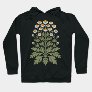 Chamomile Hoodie