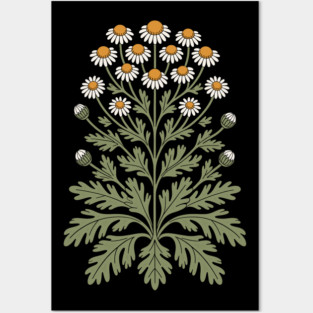 Chamomile Posters and Art
