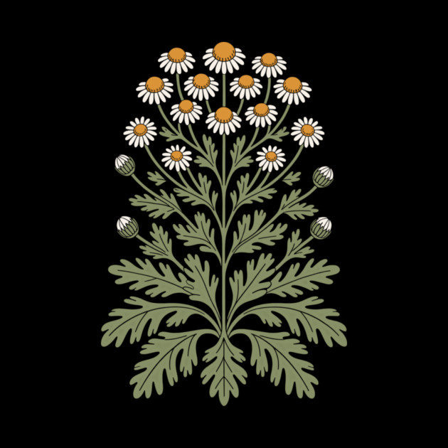 Chamomile by CreativeSage