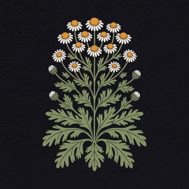 Chamomile by CreativeSage