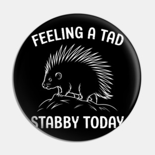 Porcupine Feeling A Tad Stabby Today Funny Porcupines Pin