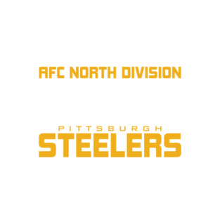 Steelers AFC North Champs 2025 Magnet