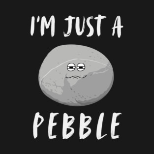 I'm Just a Pebble Funny T-Shirt
