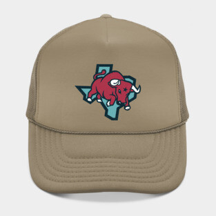 Vintage Houston Texans Hat