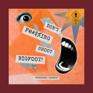 dont shoot bigfoot please T-Shirt