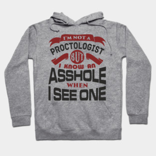 I Know an Asshole When I See One No Filter Attitude Hoodie