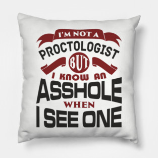 I Know an Asshole When I See One No Filter Attitude Pillow