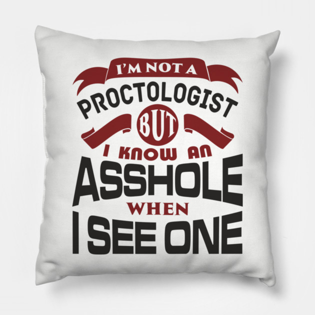 I Know an Asshole When I See One No Filter Attitude Pillow by Anticorporati