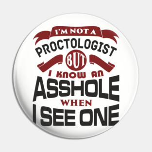 I Know an Asshole When I See One No Filter Attitude Pin