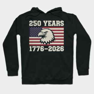 Vintage United States 250 Year Quarter Millennium Anniversary America Hoodie