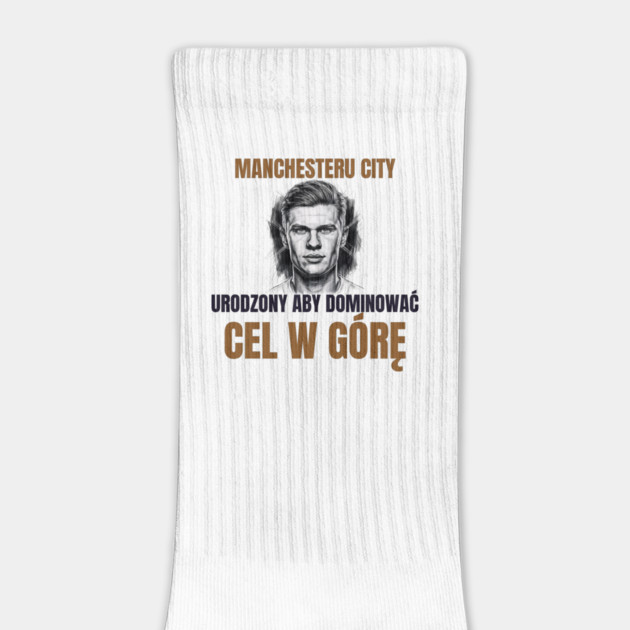 Manchester City: Built to Dominate by Muhammad Naveed Khan