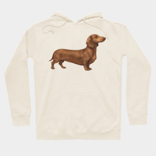 Vintage Dachshund Classic Sausage Dog Art Hoodie