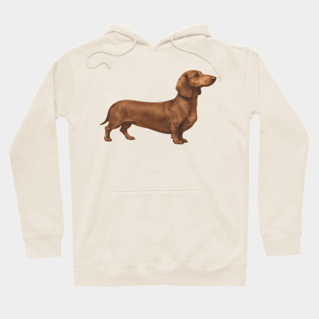 Vintage Dachshund Classic Sausage Dog Art Hoodie by DonWillisJrArt